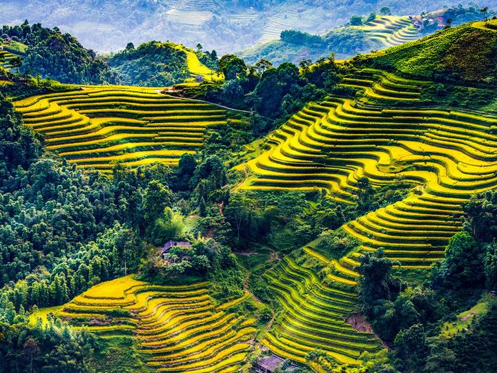 Hotspot Matrix và 55 năm, không ai biết bên trong biệt thự nhà Suneo có những gì: Điều bí