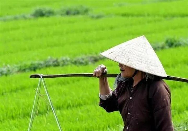Hotspot Matrix: Từ Ý Tưởng Đến Sản Phẩm Video Thương Mại