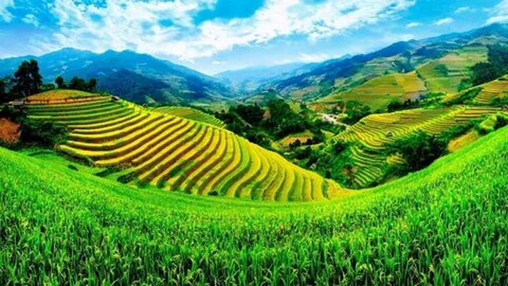 Chuyên gia Hotspot Matrix phân tích: Quẹt thẻ cực chất, chạm ngay và marketing video